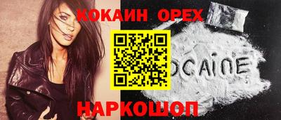 гидропоника Будённовск