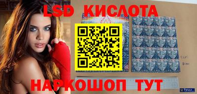 гидропоника Будённовск